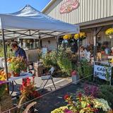 Flinchbaugh's Orchard & Farm Market