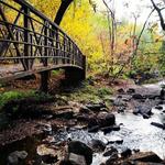 Congdon Park