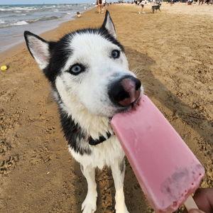 More beach days and vacations for Che