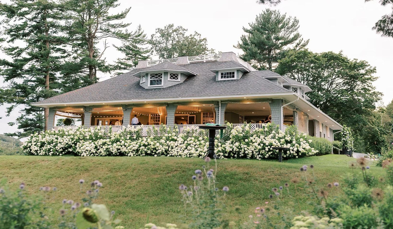 The Wedding Website of Natalie Kaknes and Michael Hollis