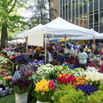 Portland Farmers Market at PSU