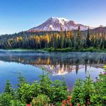 Mount Rainier National Park