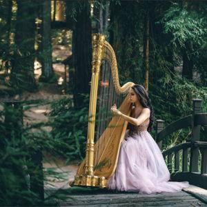 Our Wedding Music