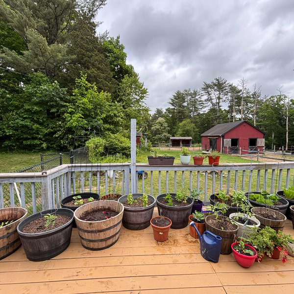 Home Improvement Fund
