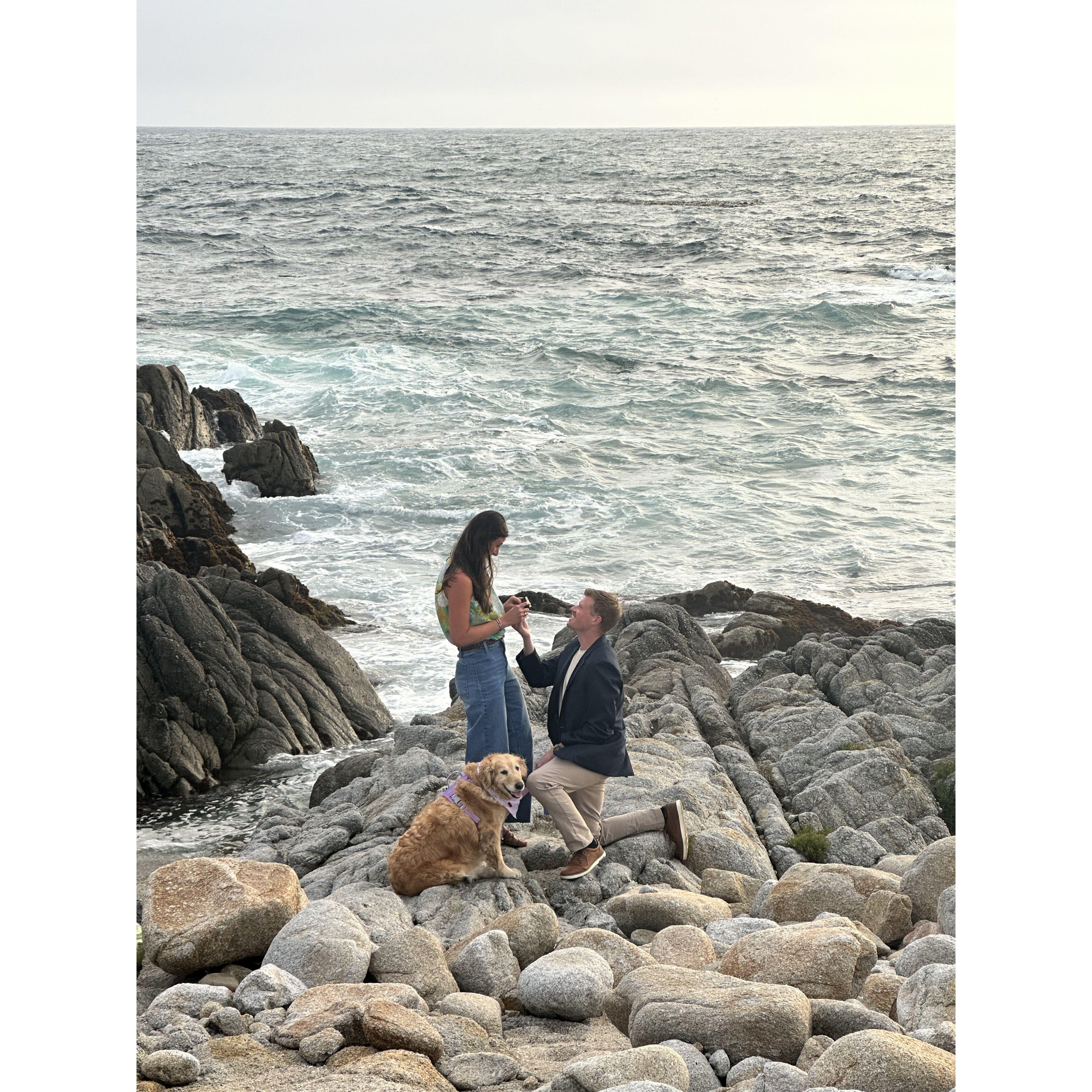 The engagement!