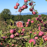 Cedar Heights Orchards