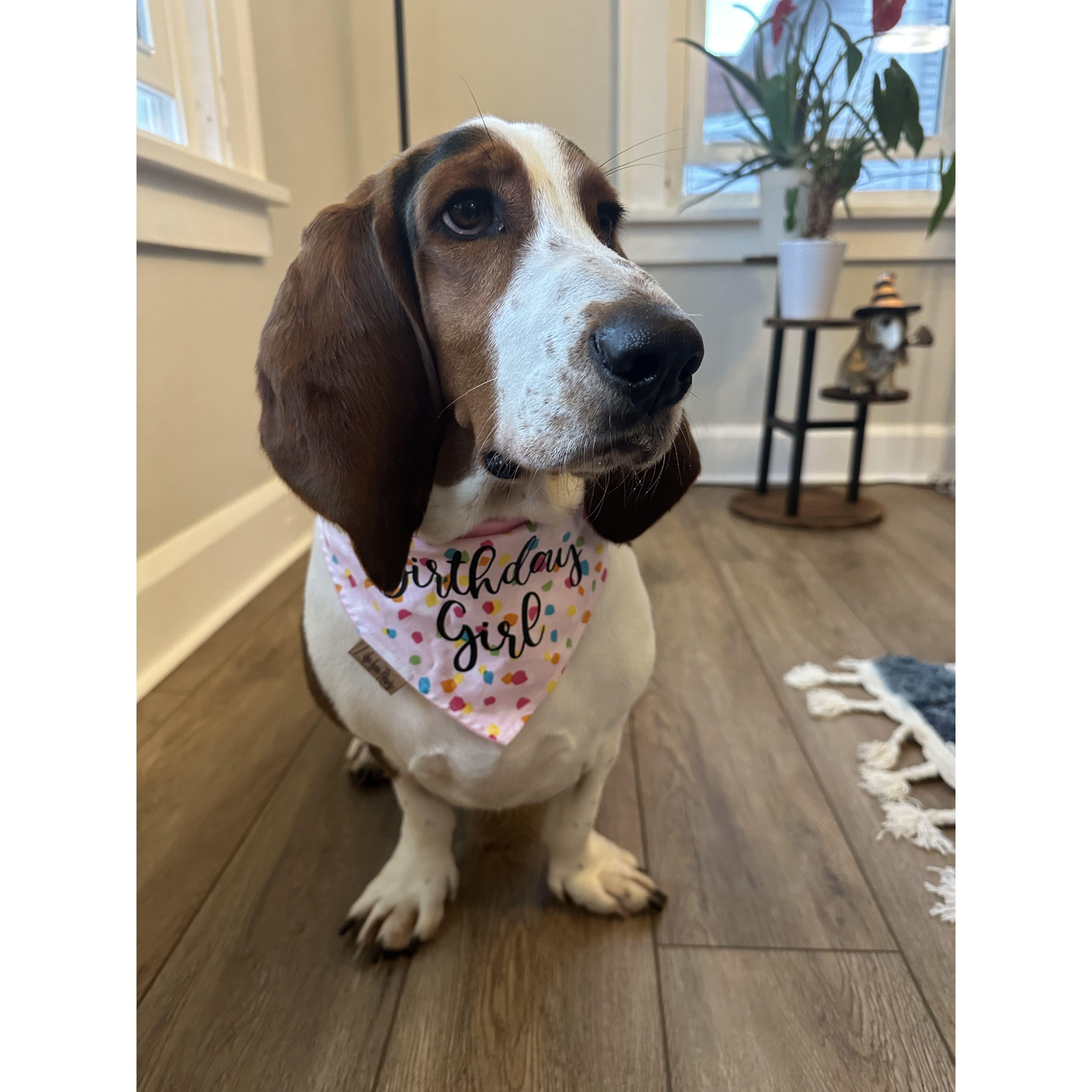 Jojo, the first and sweetest addition to our family!