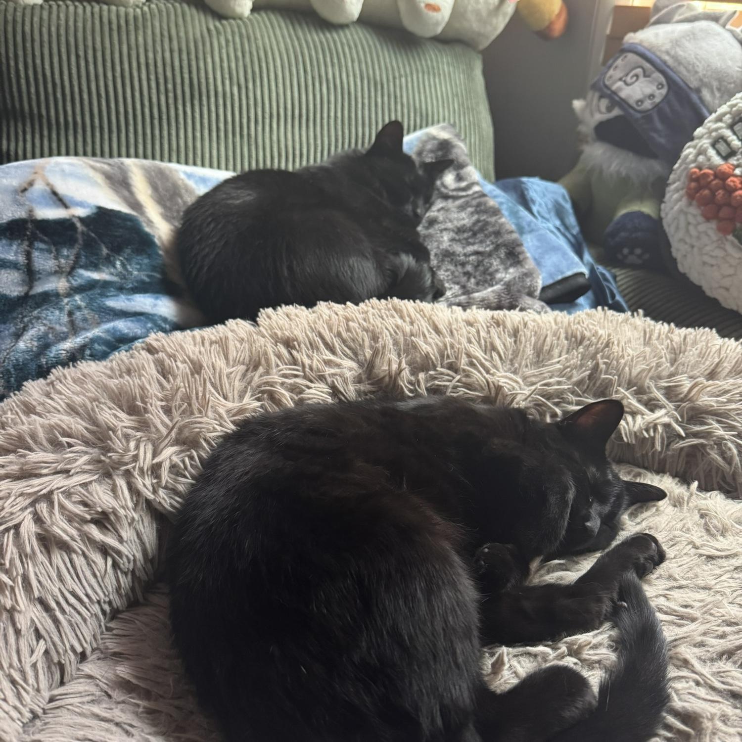 Seeing double