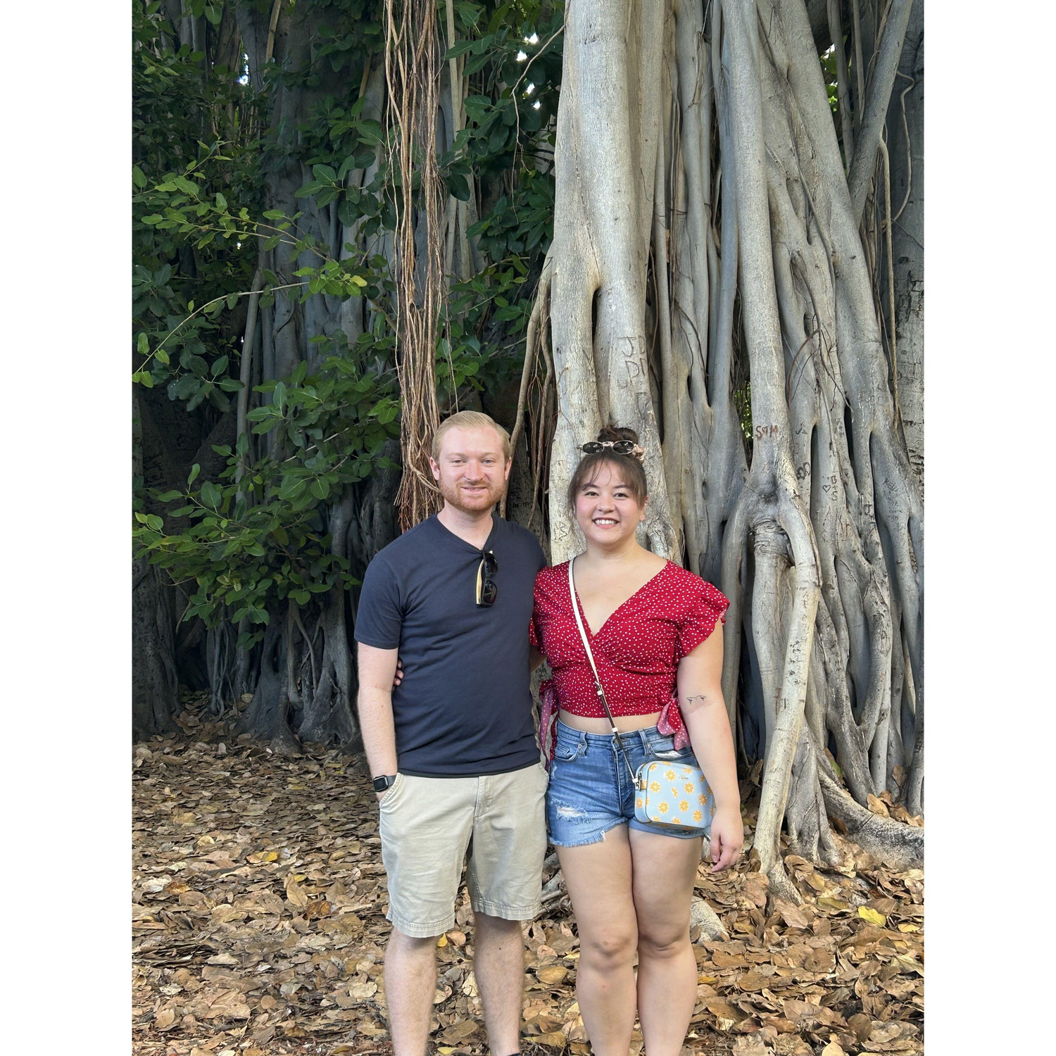 Oahu November 2023