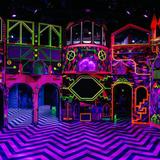 Meow Wolf Grapevine's The Real Unreal