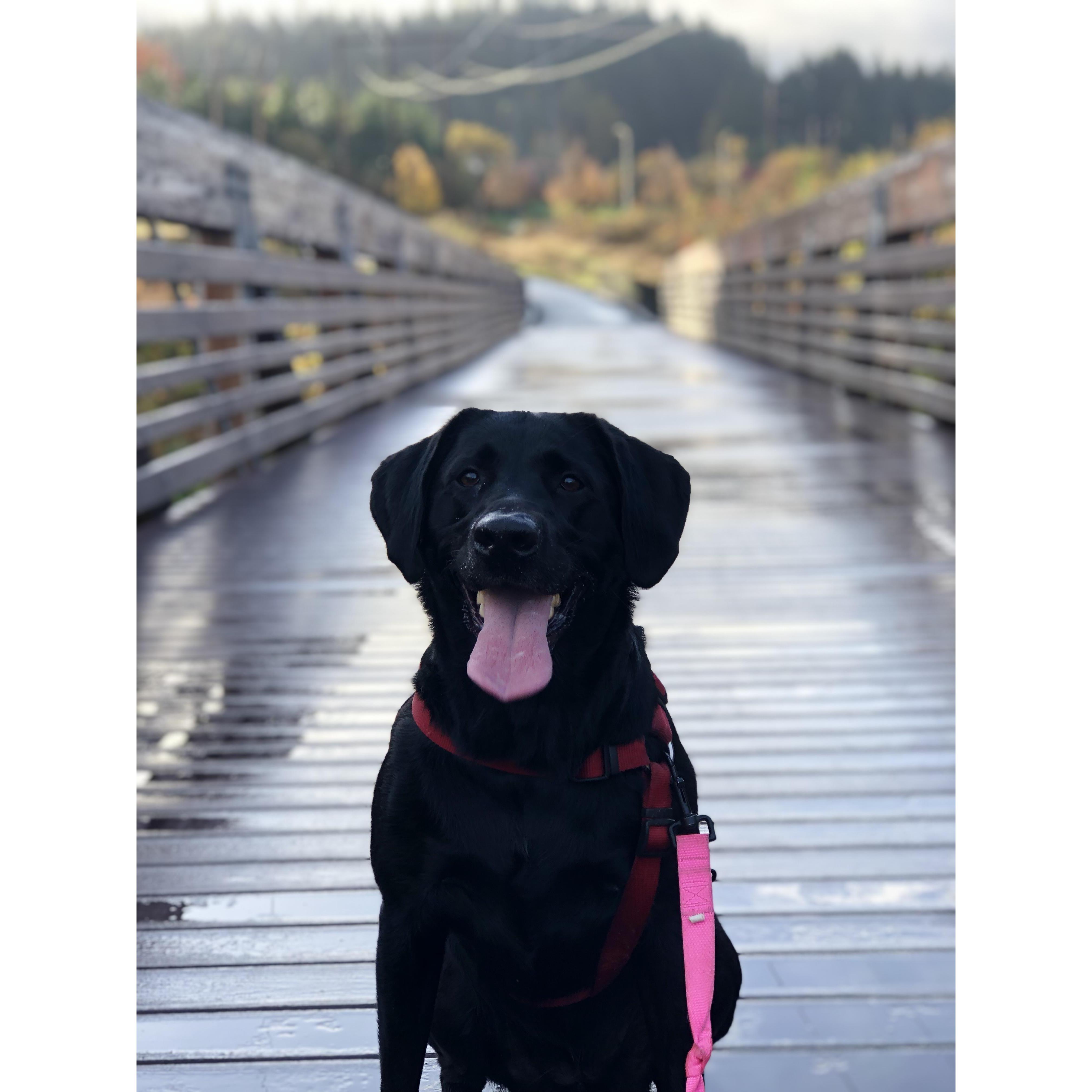 The sweetest girl in the word.