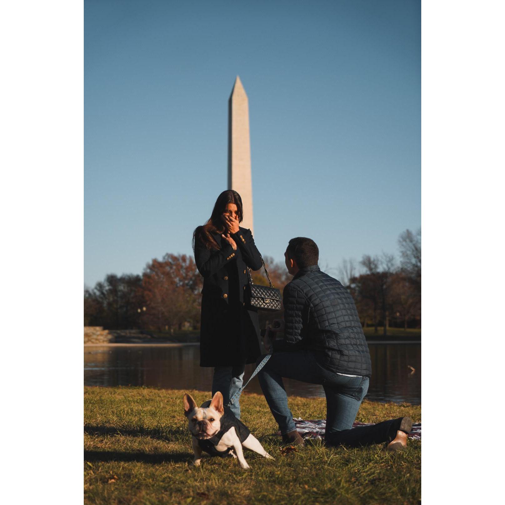 The proposal in the Constitution Gardens <3