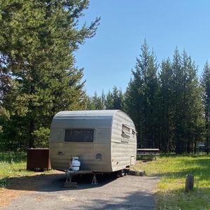 Henry the Camper