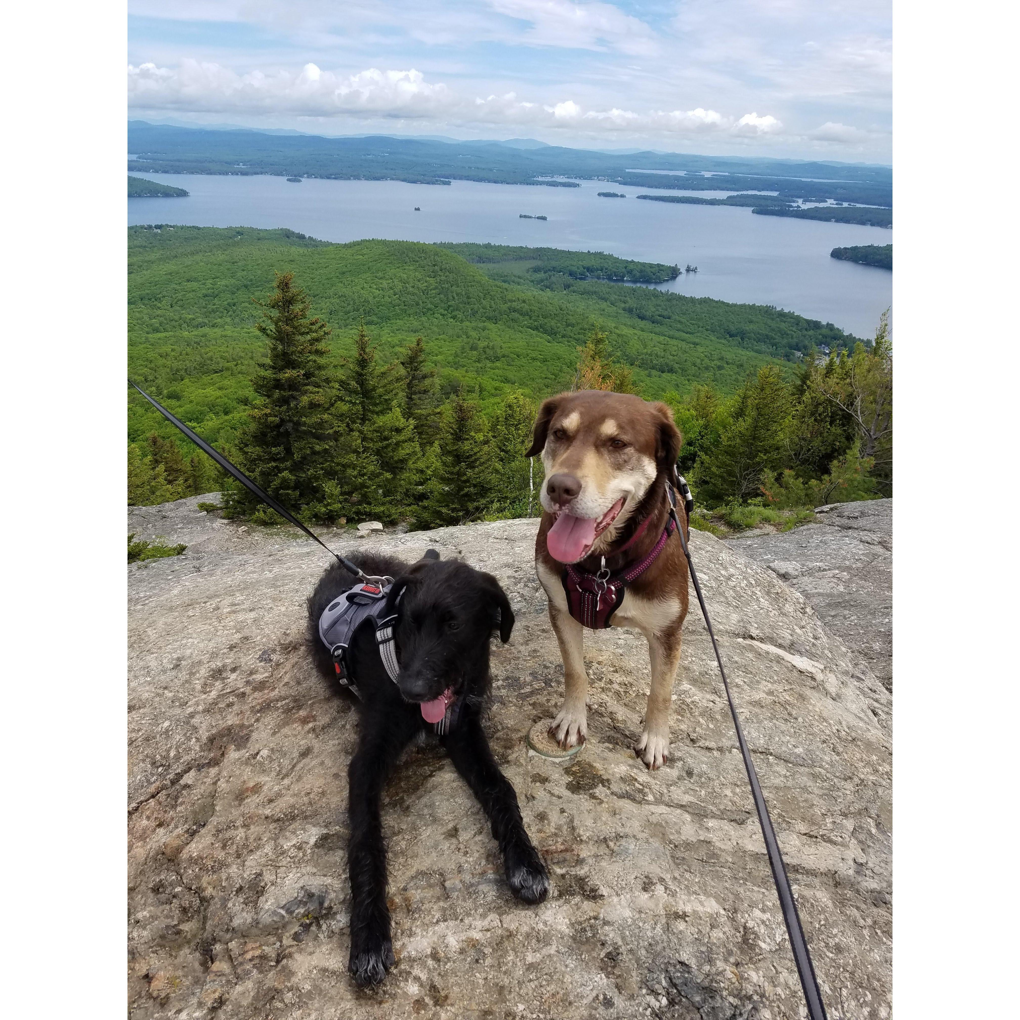 Betty and Malcolm on Mt. Major