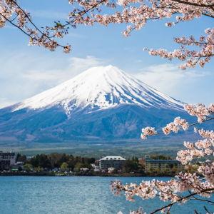 Japan Honeymoon Fund