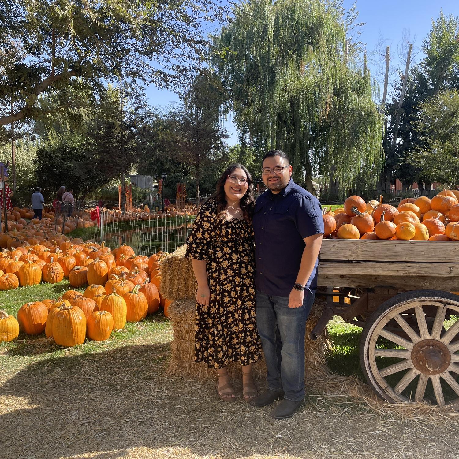 Pumpkin Patch 2024