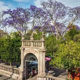 Jardín de San Marcos