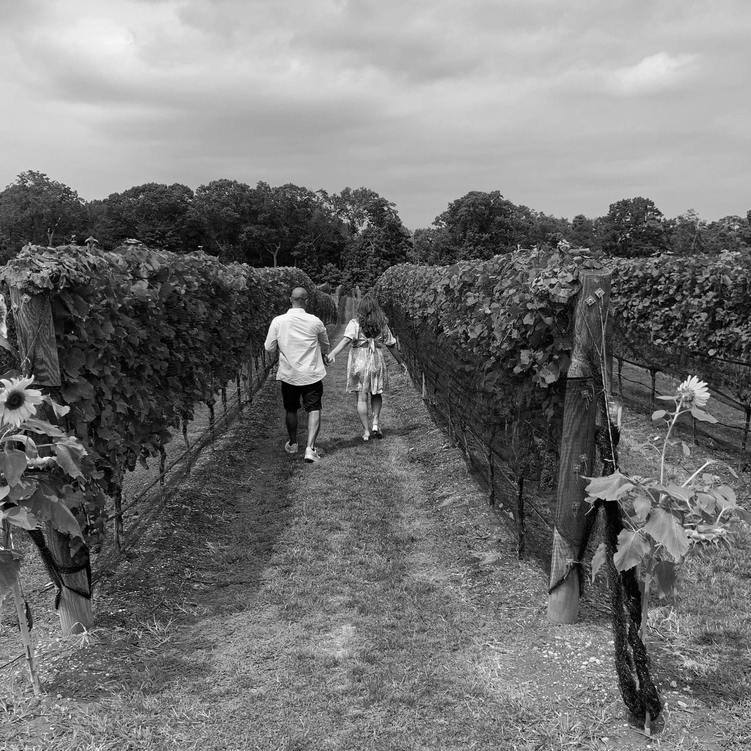 At the Vineyard