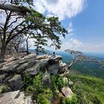 Cheaha State Park