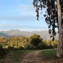 Ojai Meadows Preserve
