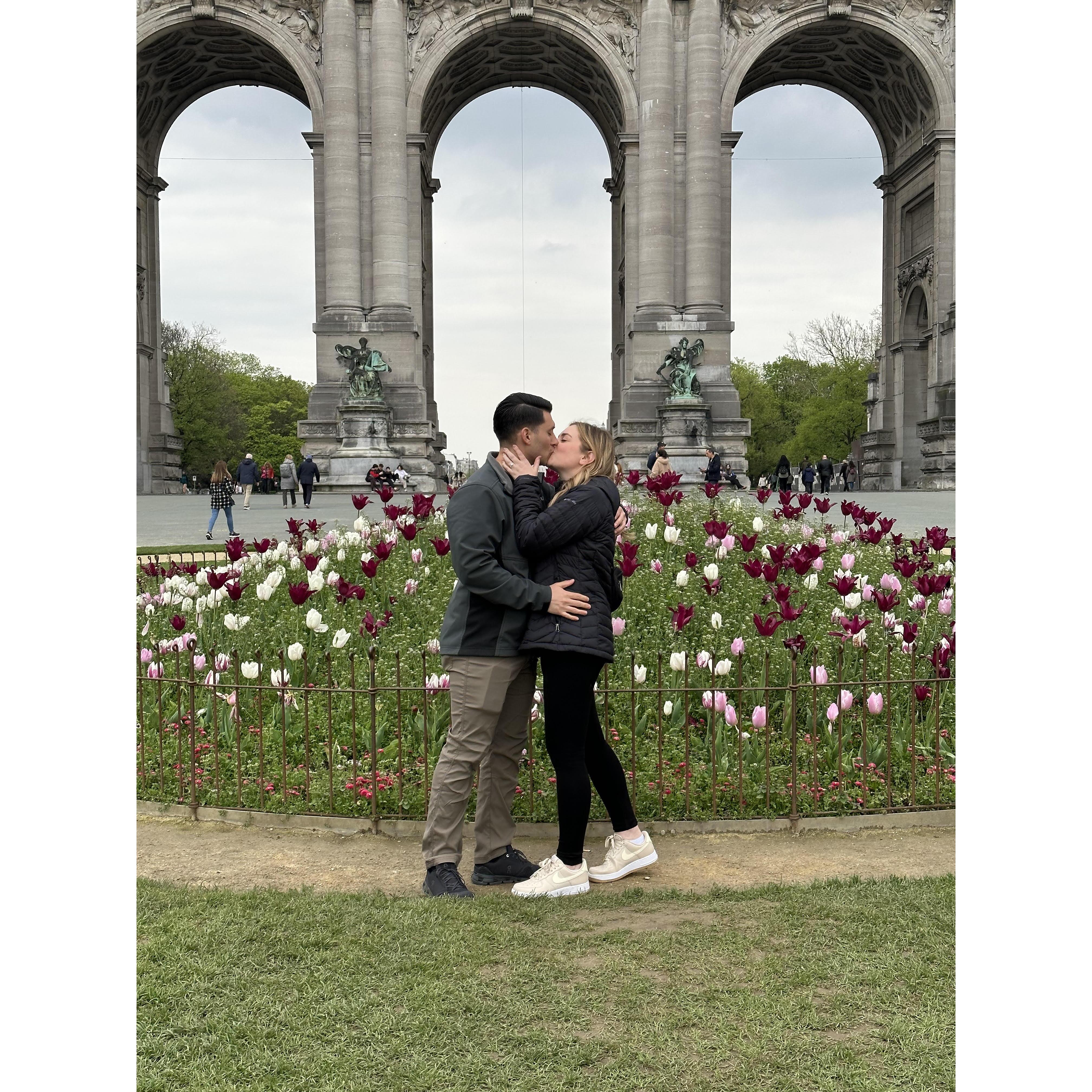 The proposal in Parc du Cinquantenaire