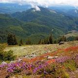 Marys Peak