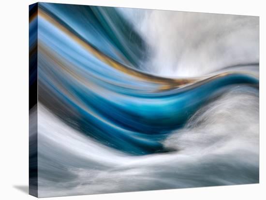 So Gentle, So Furious - Canvas Print