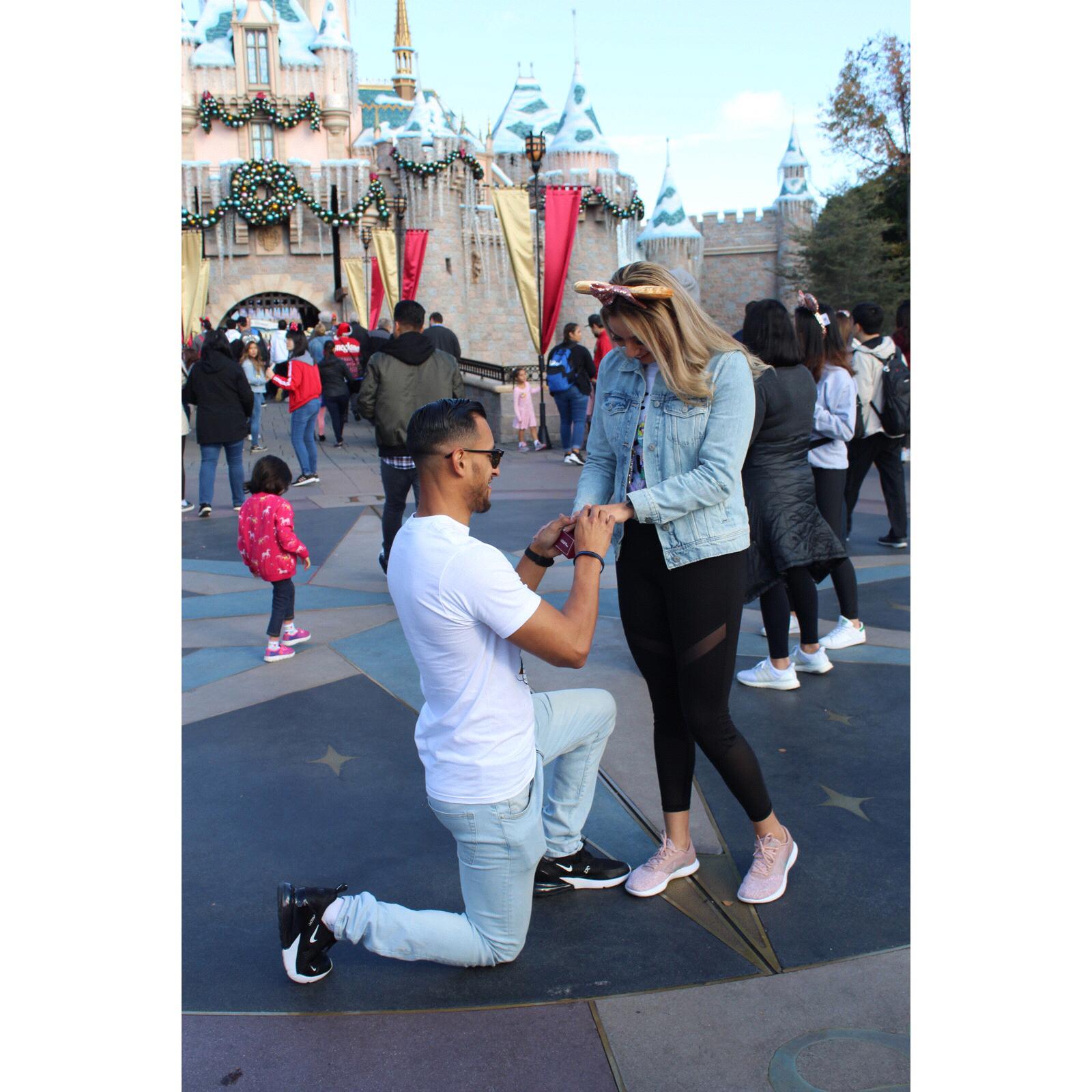 Fairytale Engagement