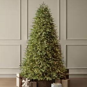 7.5 ft. Grand Duchess Twinkling Balsam Fir LED Pre-Lit Artificial Unflocked Christmas Tree