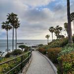 Literally Everything in Laguna Beach