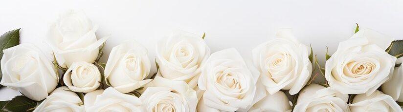 The Wedding Website of Jeanne Nguyen and Kevin Homsombath