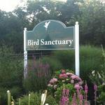 Stone Harbor Bird Sanctuary