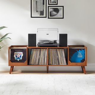 Asheville Low Record Stand with Storage Console