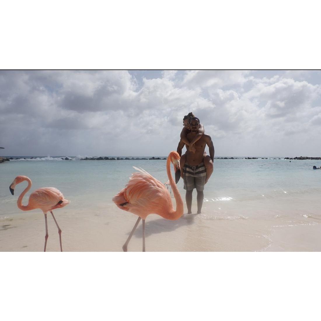 Aruba
