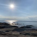 Halibut Point State Park