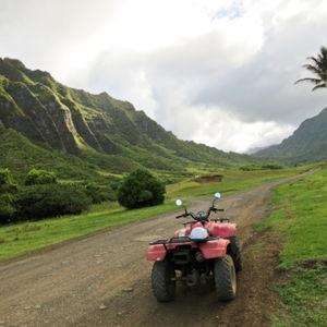 Honeymoon Excursion