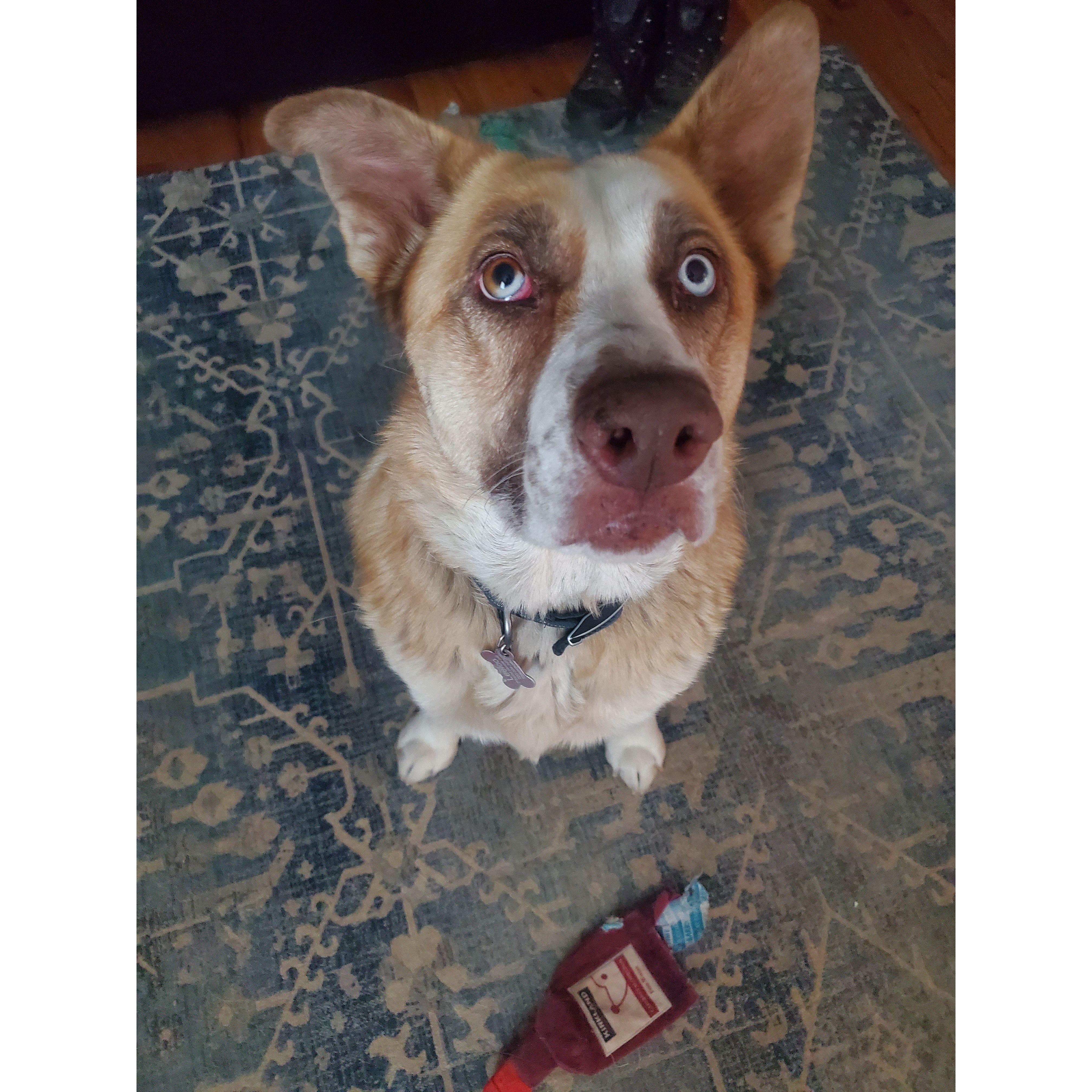 Miss Leeloo