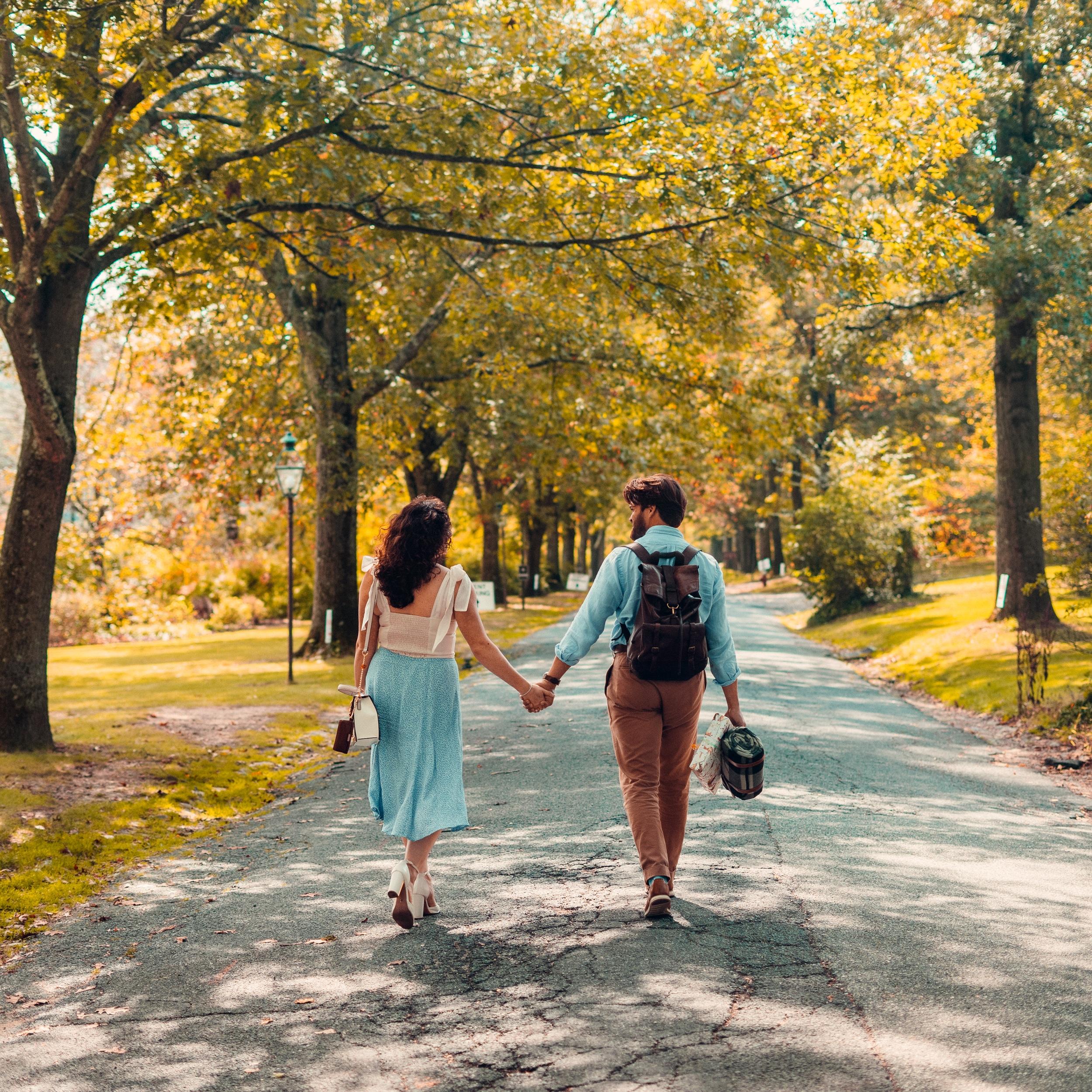 Hero Slideshow Image 4