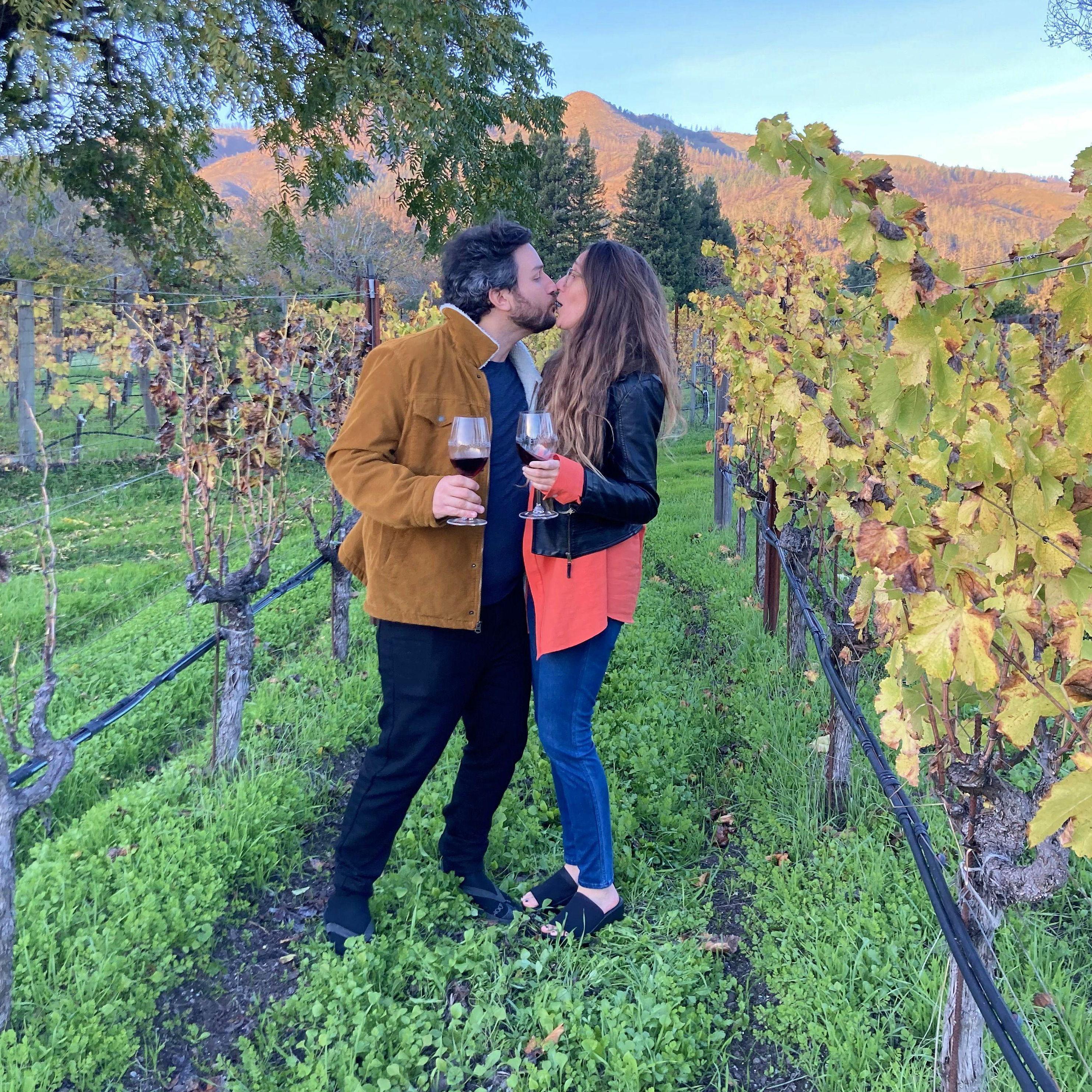 Winery onlooks in Sonoma