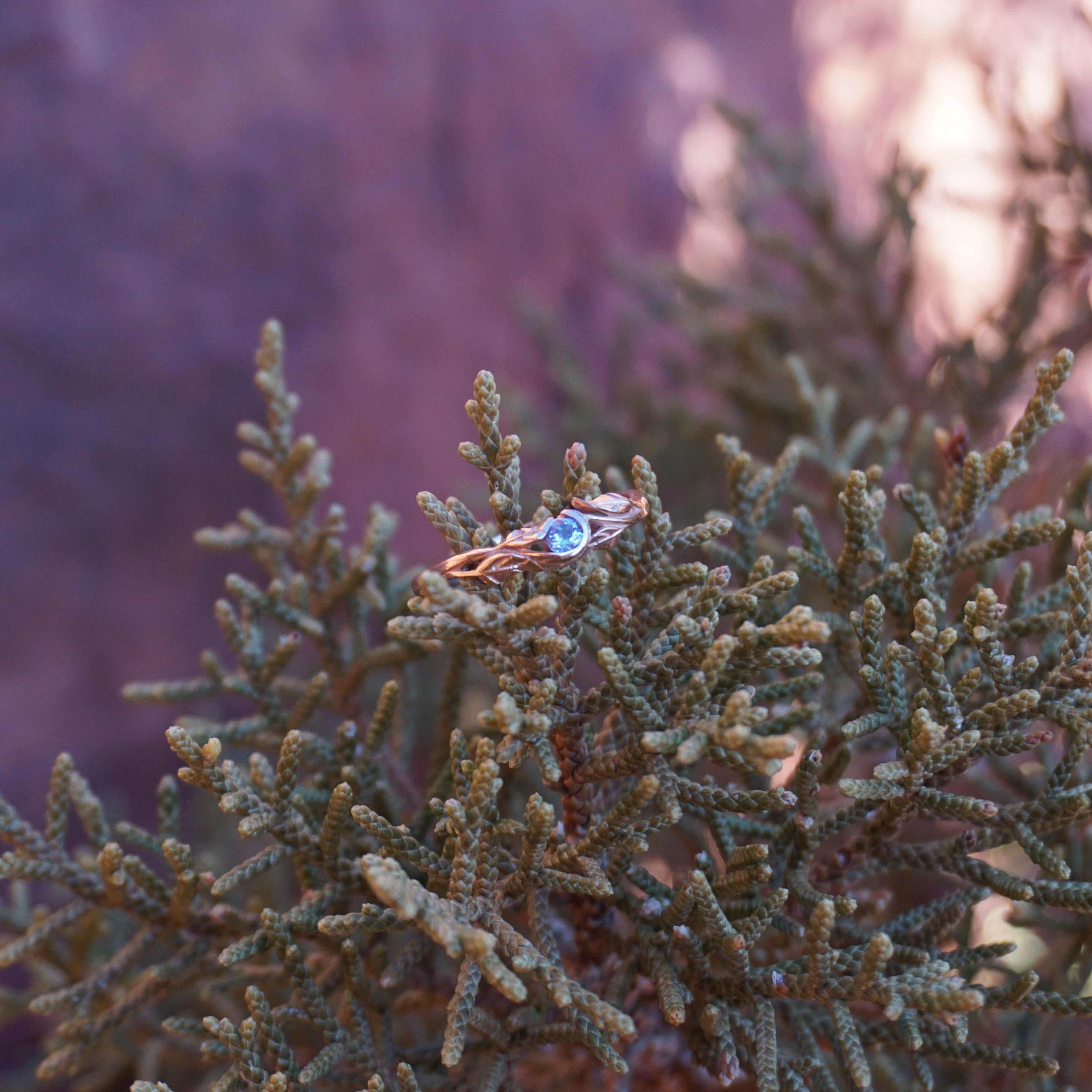 Moab, UT Proposal