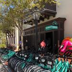 Bamboo Bicycle Company