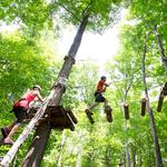 Treetop Trekking Hamilton