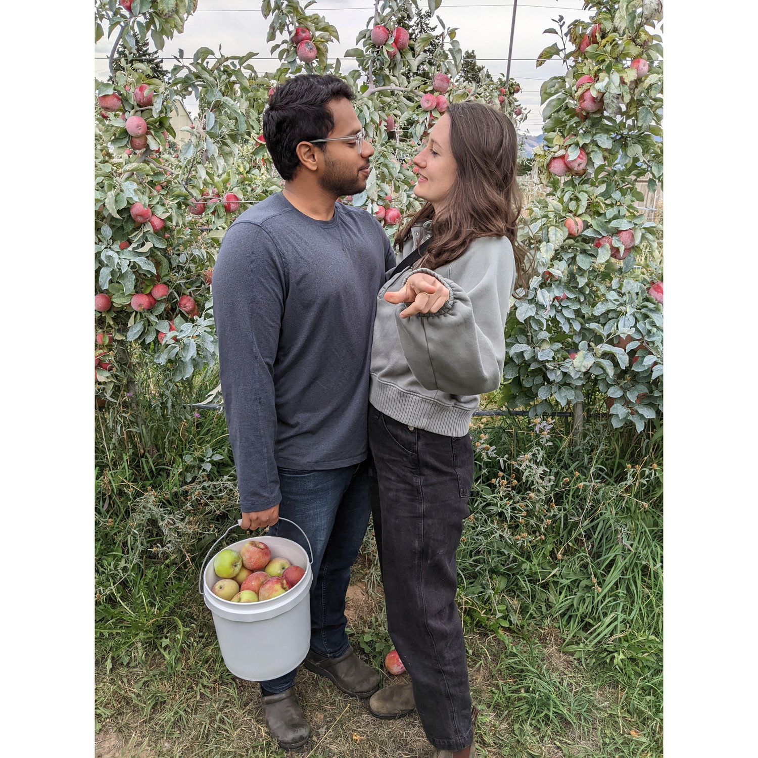 Apple picking in Hood River