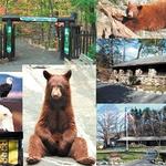 Trailside Museums & Zoo