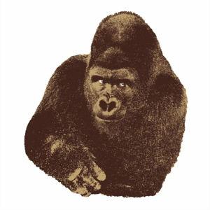 Framed Silkscreen Print IL GORILLA by Enzo Mari - 112x112cm