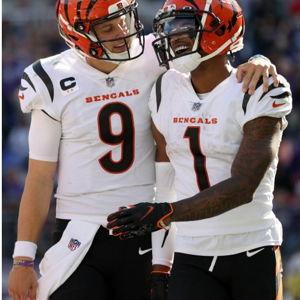 Bengals Tickets for 2026 Season