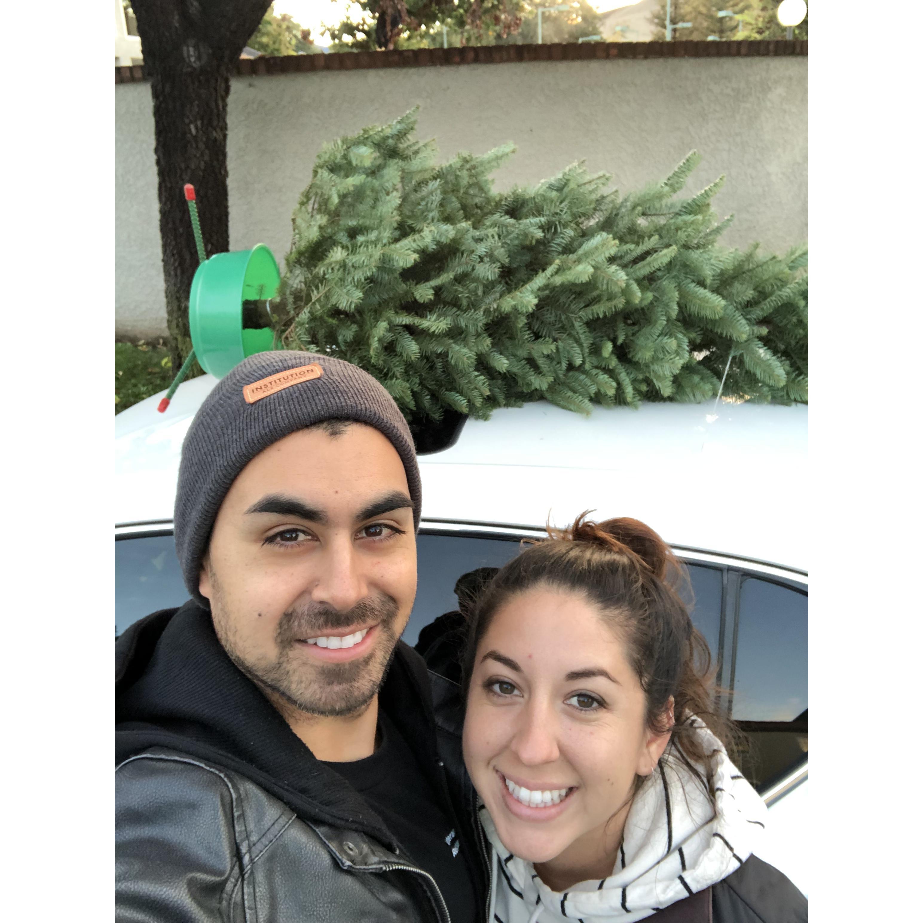 Bringing home our first Christmas tree