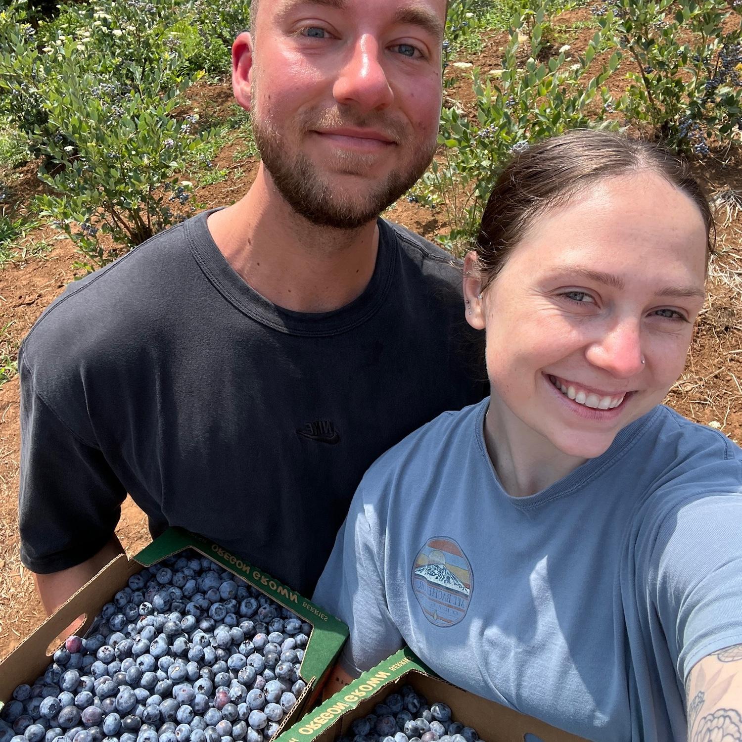 Salem OR Blueberry Picking