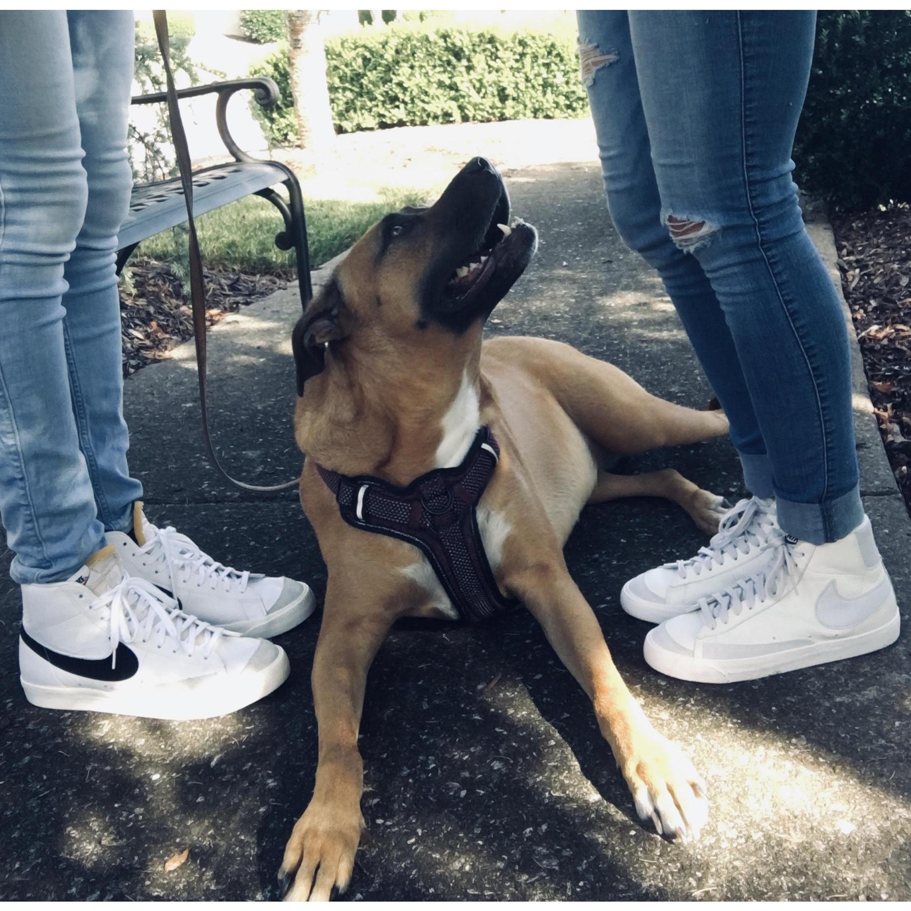 Nike's and Sophie, things we both love.