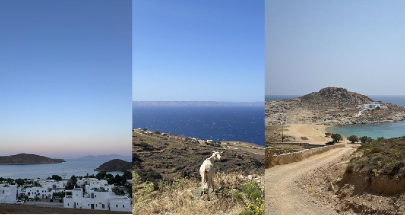 The Wedding Website of Nicole Jennings and Tori Gikas